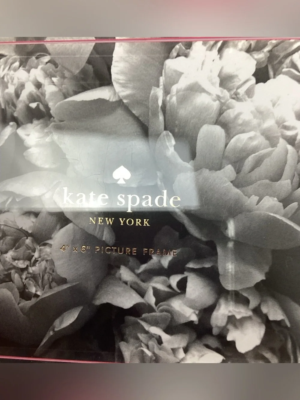kate spade kate spade